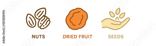 minimal icons nuts mix colored brown dried fruit colored orange seed handful colored beige