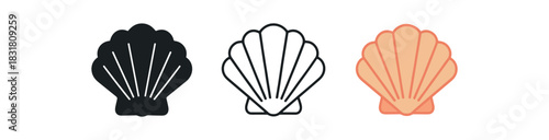 collecting icons three seashell silhouettes with simple line detail one flat solid monochrome one thin black outline black and white one full color flat icon sandy and coral tones