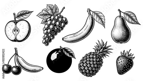 Vintage engraving style fruits including grapes, banana, pineapple, and more