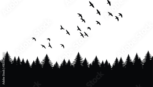 Silhouette of birds flying over a forest landscape