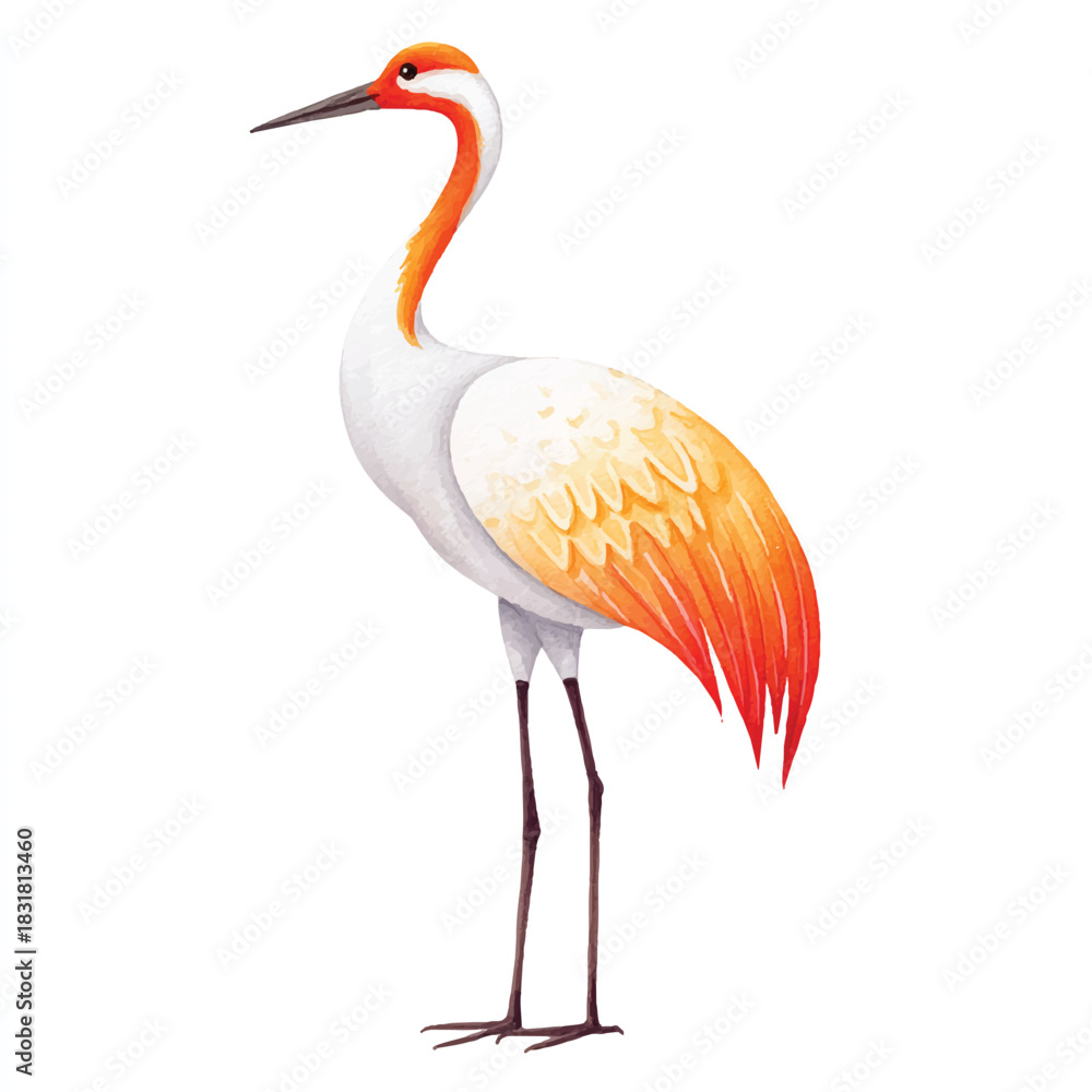 Obraz premium Elegant Watercolor Crane Bird Illustration