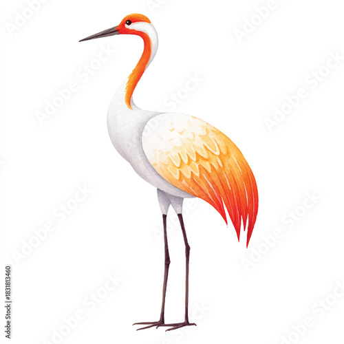 Elegant Watercolor Crane Bird Illustration