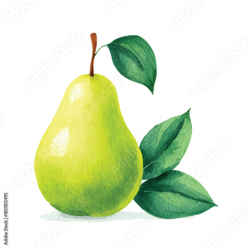 Fresh Green Pear Watercolor Illustration with Leaves