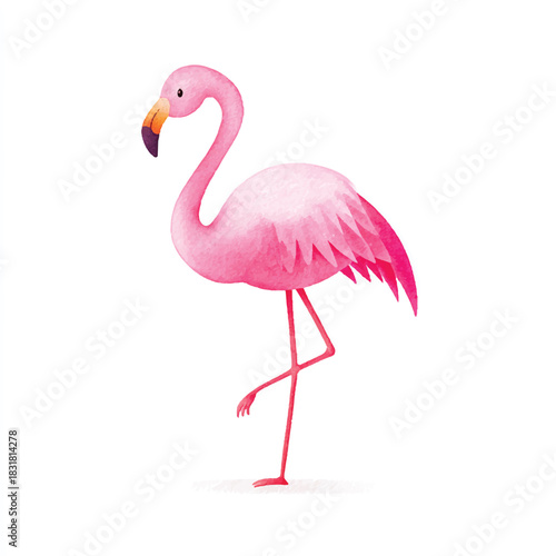 Elegant Pink Flamingo Watercolor Illustration