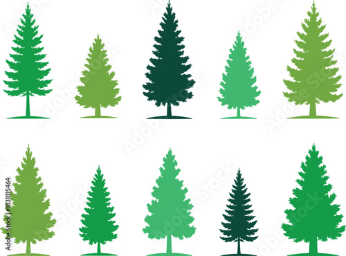 Set of ten pine tree silhouette illustrations featuring evergreen forest shapes, nature clipart elements, conifer icons for design, decoration, and artwork