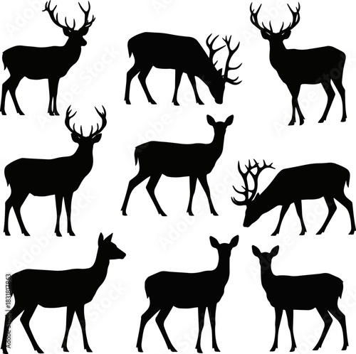 Isolated a kinds of deferent black standing and walking deer and doe silhouettes Vector art with white background .