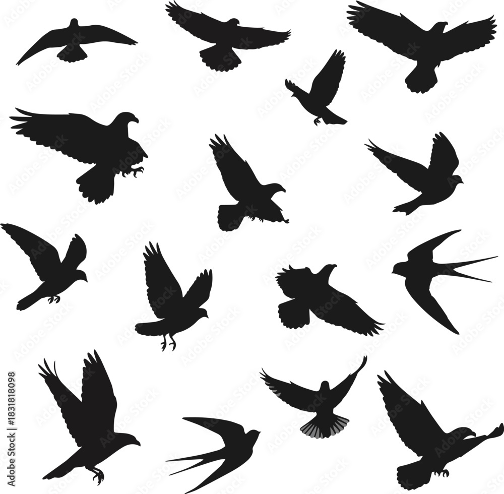 Fototapeta premium Isolated a kinds of deferent flying birds flock silhouettes vector art with white background.
