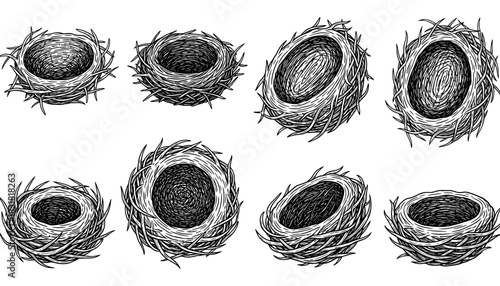 Hand drawn bird nests collection in black and white outline style