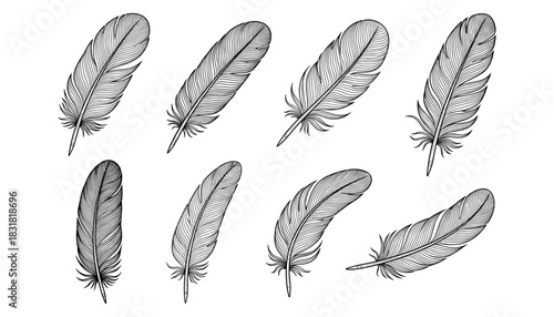 Intricate feather collection in sketch style for elegant designs