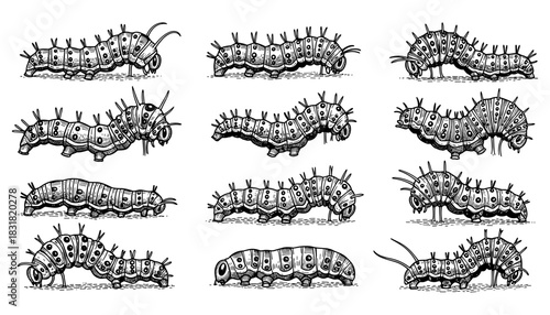 Steampunk caterpillar set in vintage monochrome design
