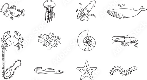 Detailed outline icons of various sea creatures, marine animals, and diverse ocean life