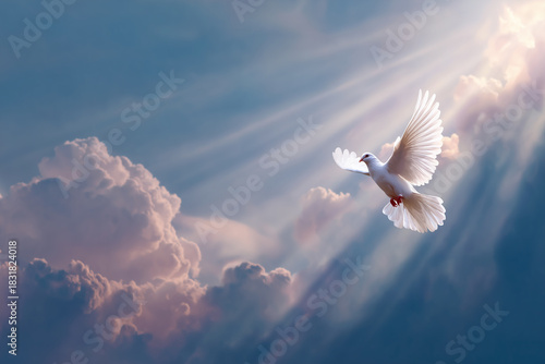 A photograph depicting the holy spirit in the form of a dove flying above the clouds, with white and soft colors, and light rays shining through