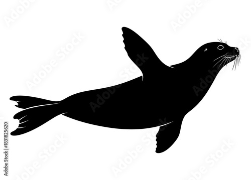 Black Silhouette of a Playful Seal on White Background