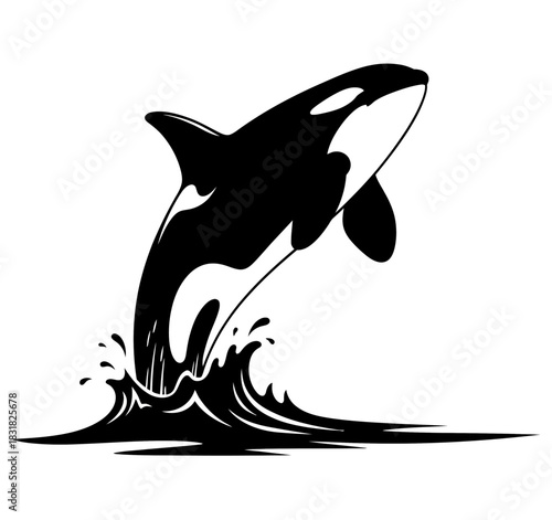 Jumping Orca Whale Silhouette Black and White Illustration