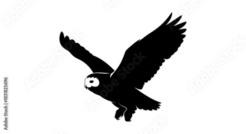 Silhouette of a Flying Owl with Outstretched Wings on White Background