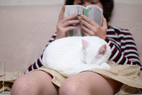 本を読む女の子の膝の上で眠る猫