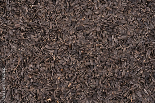 Fototapeta Naklejka Na Ścianę i Meble -  Bird food for street birds. small sunflower seeds background texture.