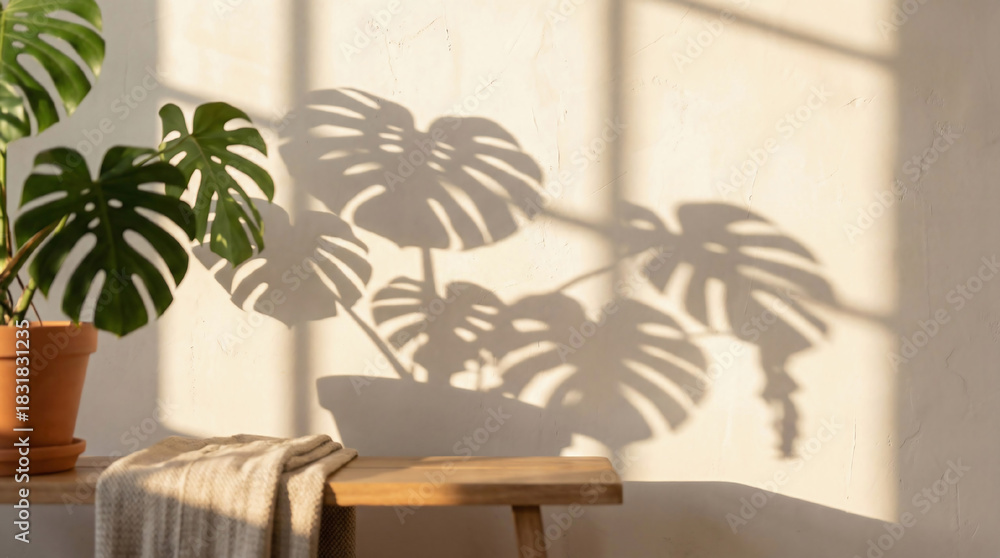 Fototapeta premium shadow overlay effects of realistic monstera shadow isolated on wall background,Summer sunlight and shadow overlay effect,dappled leaves shadow for photo interior backdrop studio