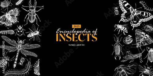 Insects horizontal banner vector with hand drawn creatures