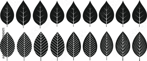 Collection of black leaf icons with various vein patterns ideal for nature designs, botanical illustrations, eco concepts, organic labels and minimalist artwork