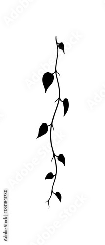 Elegant climbing vine accent for nature-inspired designs and botanical projects