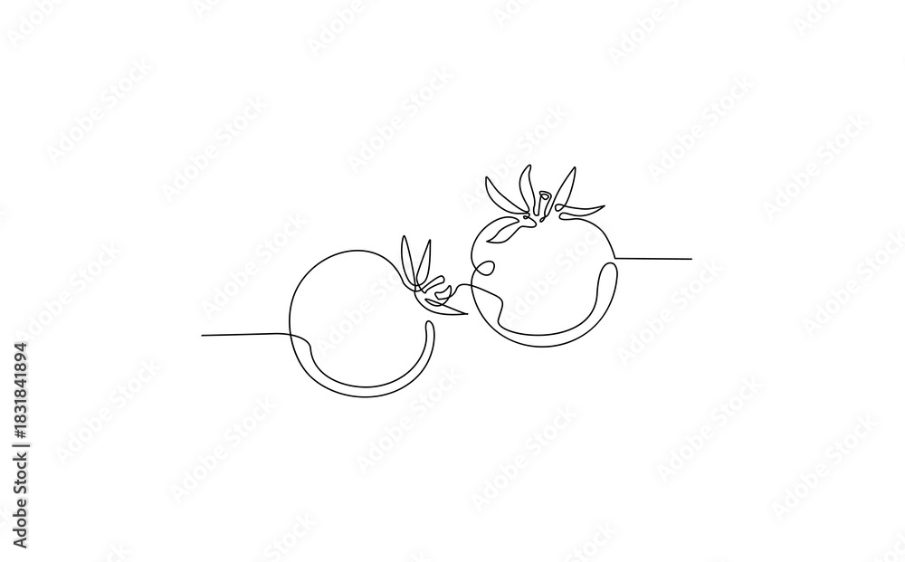 Fototapeta premium Isolated illustration of Tomato. Vector icon.