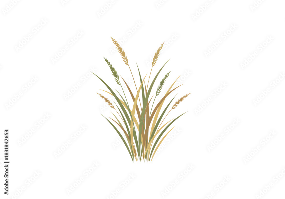 Fototapeta premium Green and Brown Tall Grass Illustration SVG on Transparent Background
