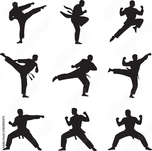 Martial arts silhouettes performing various kicks and fighting stances