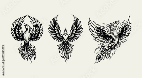Stylized set of three legendary firebird illustrations, representing immortality and resurrection in a classic engraving style