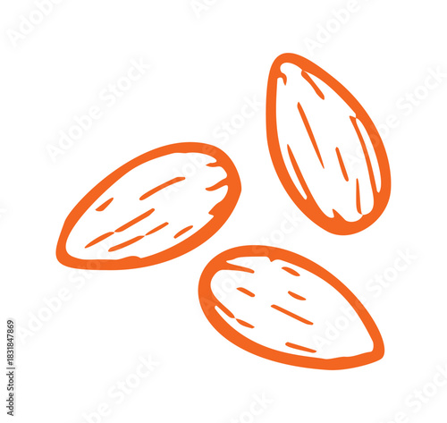 This is a simple hand drawn line vector illustration of three almonds.