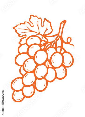This is a simple line drawing. It shows a bunch of grapes with a leaf. The artwork is a vector illustration of the fruit.