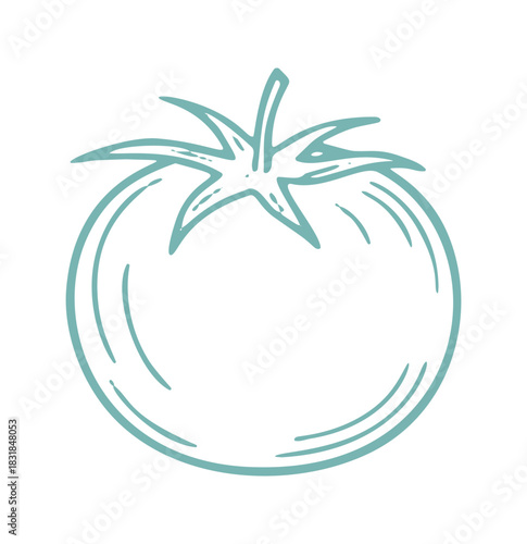 Single tomato illustration in doodle style.