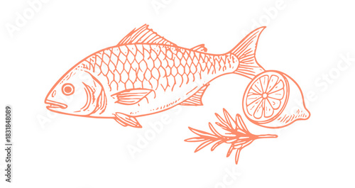 A hand-drawn sketch of fish with a lemon slice and a rosemary sprig.