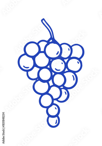 A hand-drawn line art doodle shows a bunch of grapes.