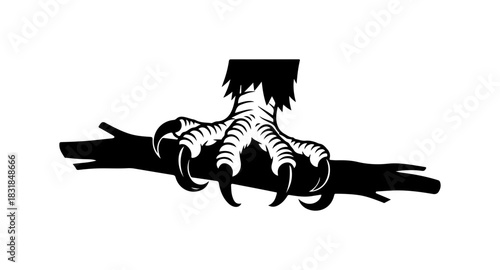 Eagle claw gripping a branch, powerful graphic element