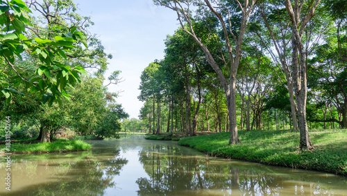 A small lake in public park, greenery trees, shrub and bush, green grass lawn in a good care maintenance landscapes, under white clouds blue sky