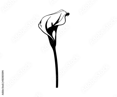 Whispers Elegance: Black White Flower Bouquet | Clean, isolated vector art for creative projects.