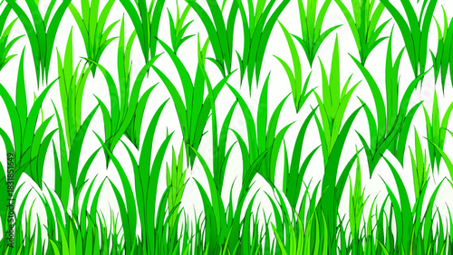 Vibrant green grass blades pattern with white background