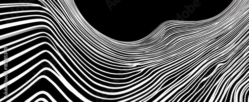 Endless swirling lines twist a captivating black and white pattern design