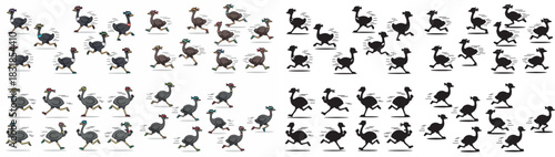Running ostriches sequence with transparent background
