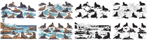 Seals on rocks and waves collection