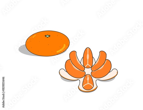 みかんと剥いたみかん