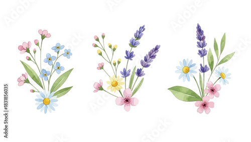 Three delightful watercolor floral bouquets, showcasing delicate spring and summer blossoms including lavender, daisies, and forget-me-nots