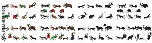 Various insects collection with transparent background