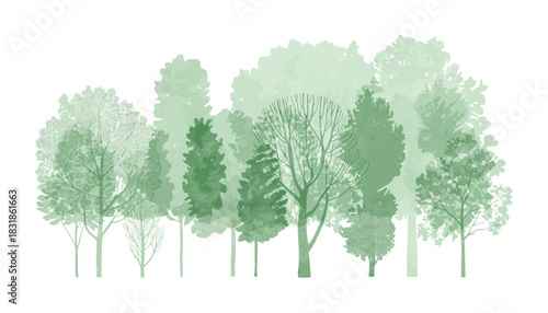 Architectural CAD Tree Line Drawings with Side View Forest Symbols and Wildlife Section Outlines for Landscape Design Vector Illustration