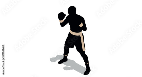 Silhouette of a boxer in fighting stance with shadow effect on white background