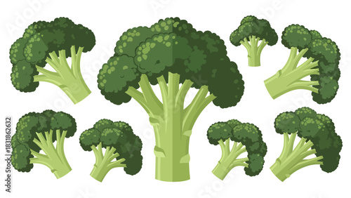 A large, central broccoli stalk anchors a scattered assortment of smaller green florets and stems, all rendered in a clean, flat vector style on a white background