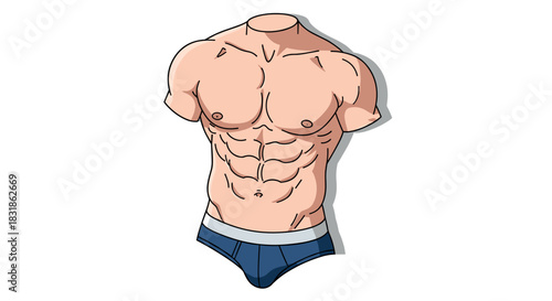 Cartoon style muscular torso with blue shorts on white background