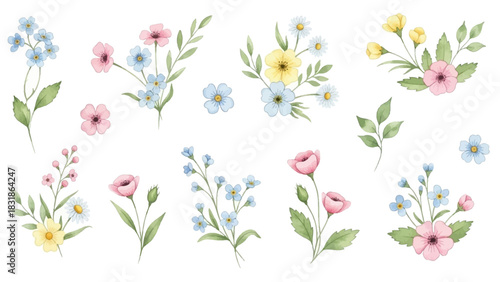 A delicate collection of hand-painted watercolor wildflowers, featuring a set of spring floral bouquets and botanical elements