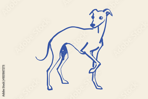 Italian greyhound dog naive line sketch vector illustration